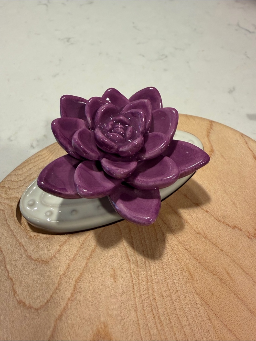 Nora Fleming- Get Growing Mini